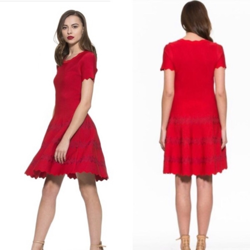 Alexia Admor red scalloped knit dress